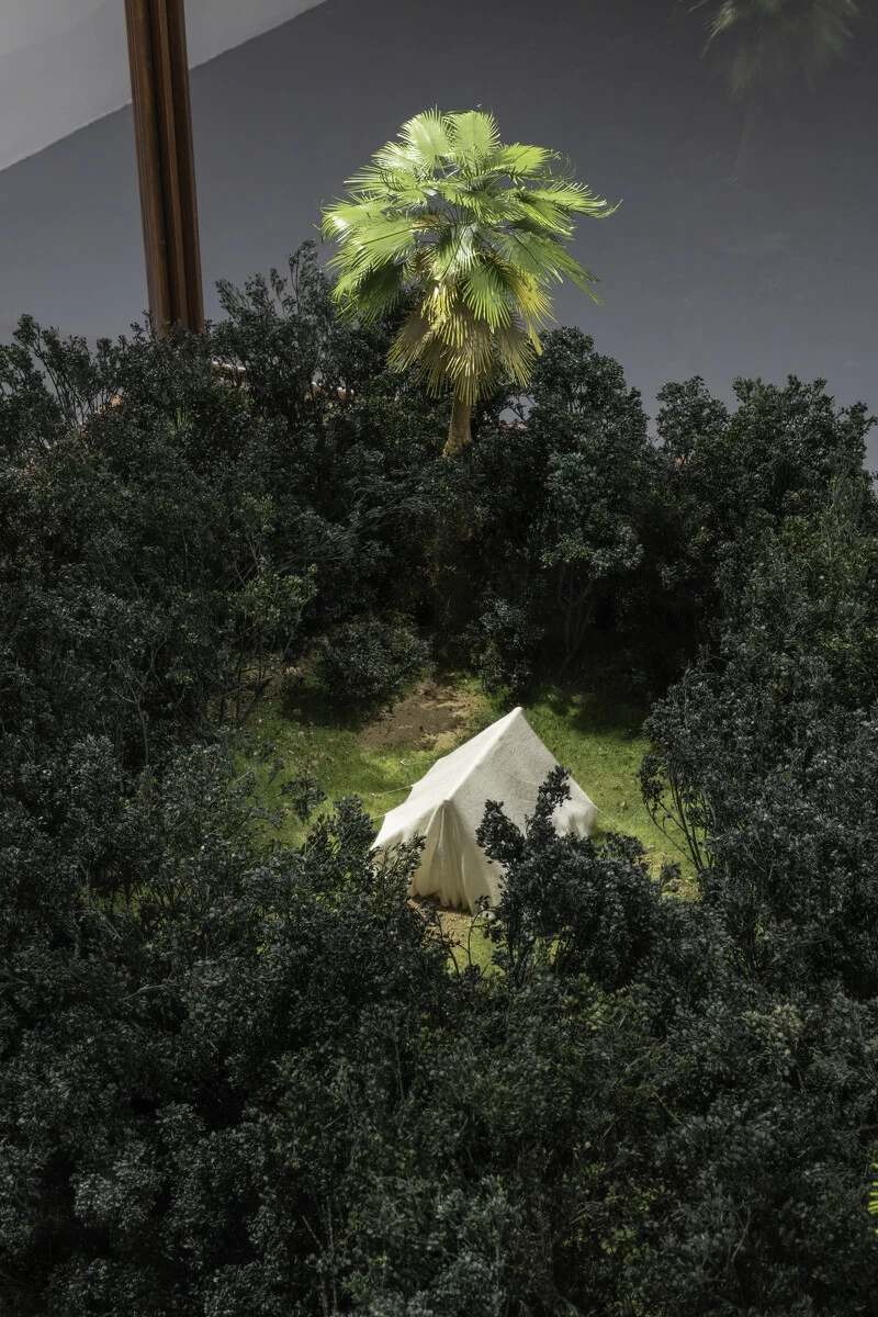 A white tent in the woods
