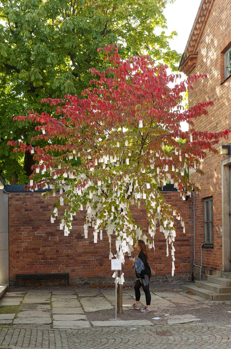A tree sporting fall foliage with white pieces of paper hanging from it.
